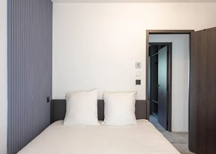 Modern Super-cannes Heated Pool, Parking, Clim, 7 Min To Cannes Villa