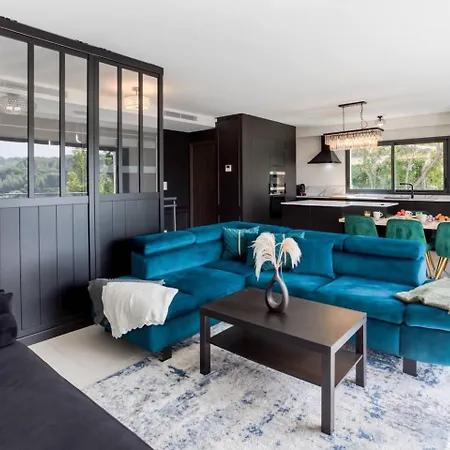 Modern Super-cannes Heated Pool, Parking, Clim, 7 Min To Cannes 别墅 *